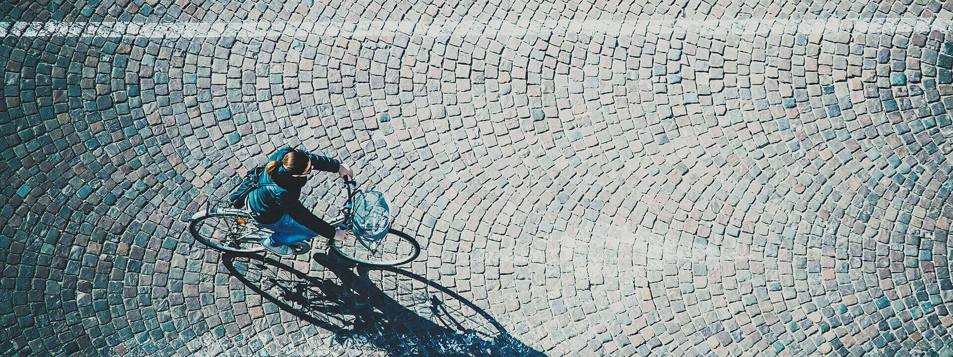 Eligibility and Formulary Data